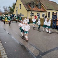 Faschingszug Dietldorf